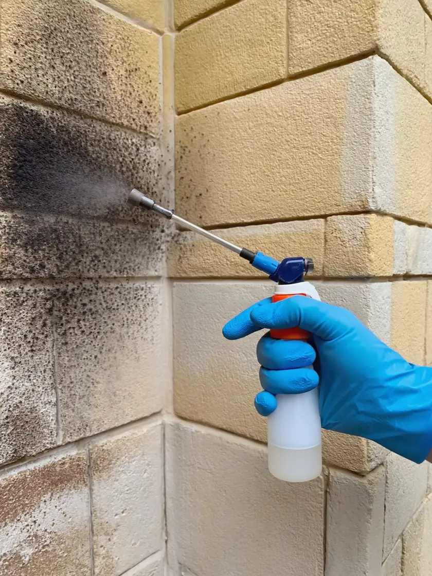 Anti-fungal treatment being applied to a mould affected wall