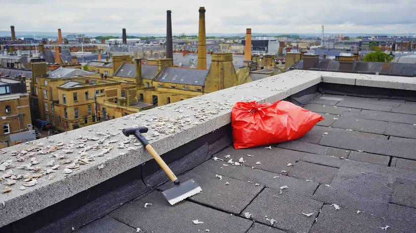 Pigeon droppings crusted along a rooftop parapet ledge in Bradford